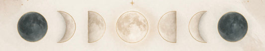 Cycle (hormonal) Phases Overview