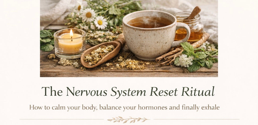 The Nervous System Reset Ritual ✨