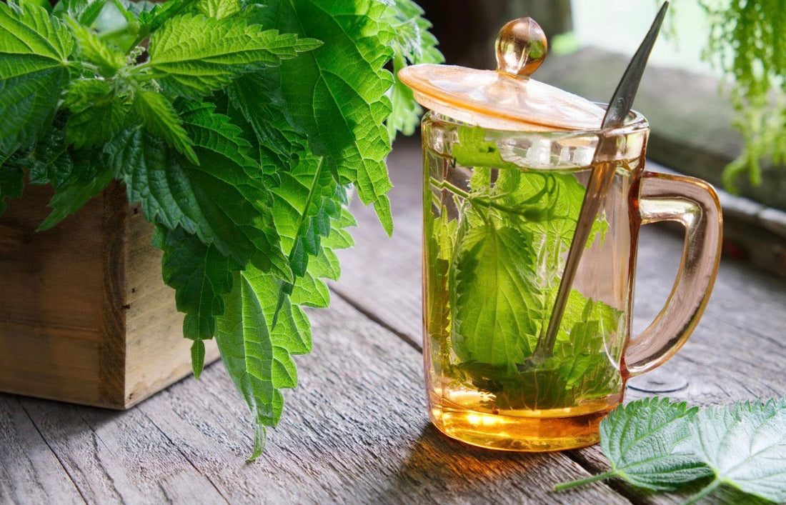 A Natural Way to Replenish Iron and Restore Energy During Your Menstrual Phase